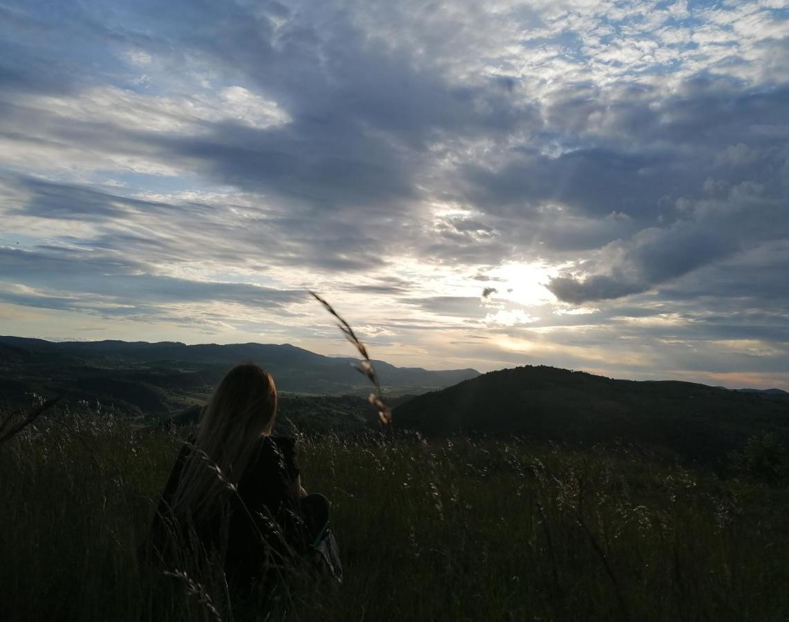 Вилла Vikendica Ines Нова-Варош Экстерьер фото